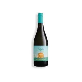 Donnafugata Lighea Zibibbo Cl 75